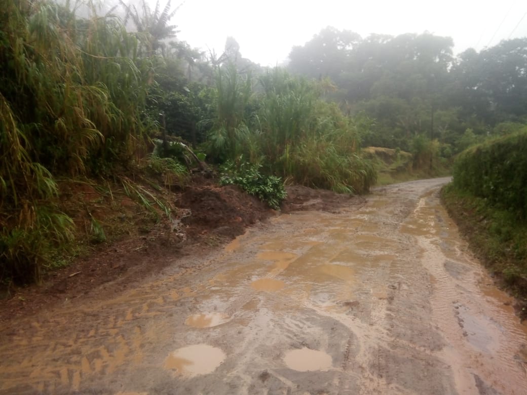 jinotega1